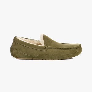 Ugg Ascot Tofflor Herr Gröna (380154TIX)